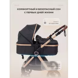 Коляска-трансформер Rant Basic Roller Gold 2024 Black