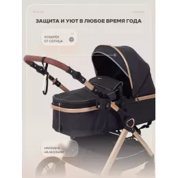 Коляска-трансформер Rant Basic Roller Gold 2024 Black