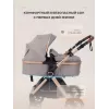 Коляска-трансформер Rant Basic Roller Gold 2024 Beige