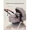 Коляска-трансформер Rant Basic Roller Gold 2024 Beige