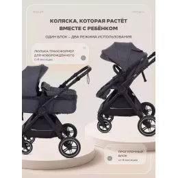 Коляска-трансформер Rant Basic Roller 2024 Grey
