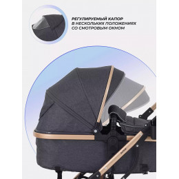Детская коляска Rant basic Pulsar Gold 2 в 1 Grey