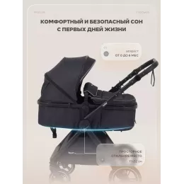 Коляска-трансформер Rant Basic Roller 2024 Black