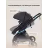 Коляска-трансформер Rant Basic Roller 2024 Black