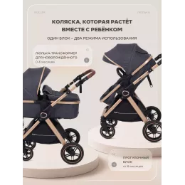 Коляска-трансформер Rant Basic Roller Gold 2024 Grey