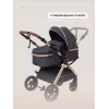 Коляска-трансформер Rant Basic Roller Gold 2024 Grey
