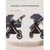 Коляска-трансформер Rant Basic Roller Gold 2024 Grey