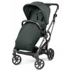 Прогулочная коляска Peg Perego Vivace New Metal