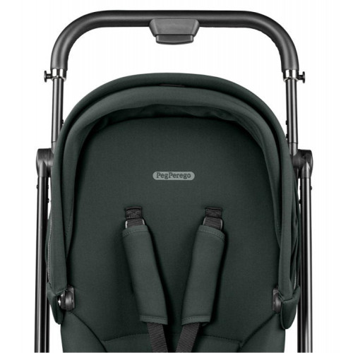 Прогулочная коляска Peg Perego Vivace New Metal