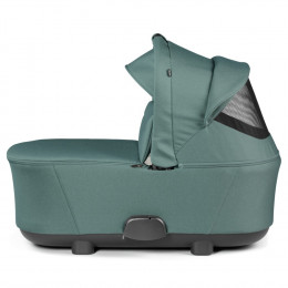Коляска 2 в 1 Peg-perego Switch Flex Jade