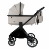 **PITUSO Коляска 2 в1 Mayla Plus короб+прогулка Beige/Black+Подарок