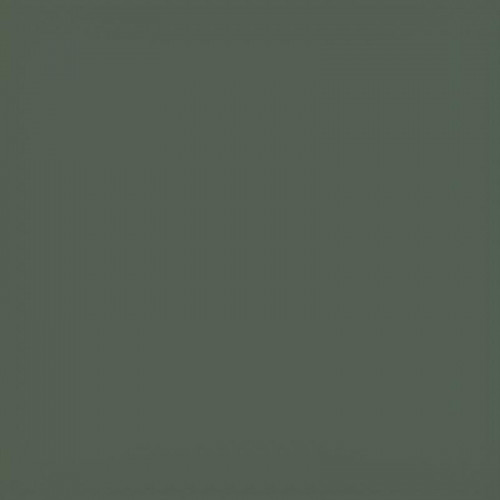 Прогулочная коляска Carrello Nova CRL-5524 2025 Aspen Green