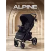 Коляска прогулочная Rant Basic Alpine 2026 Black