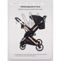 Коляска прогулочная Rant Basic Vortex Black