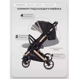 Коляска прогулочная Rant Basic Vortex Black