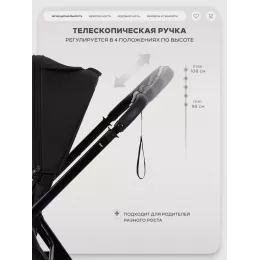 Коляска прогулочная Rant Basic Wave Black