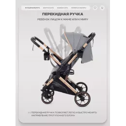 Коляска прогулочная Rant Basic Vortex Grey