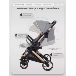 Коляска прогулочная Rant Basic Vortex Grey