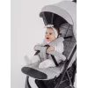 Коляска прогулочная Rant Largo 2024 Silver grey
