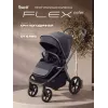 Коляска прогулочная Rant Flex Color Midnight black