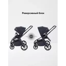 Коляска прогулочная Rant Flex Color Midnight black