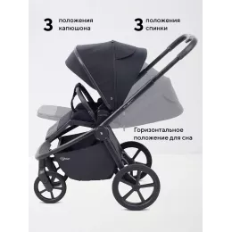 Коляска прогулочная Rant Flex Color Midnight black