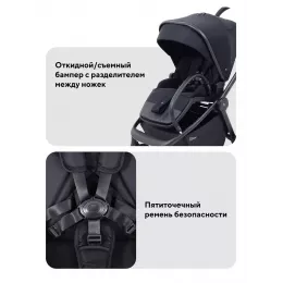 Коляска прогулочная Rant Flex Color Midnight black