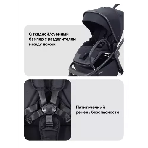 Коляска прогулочная Rant Flex Color Midnight black