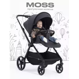 Коляска прогулочная Rant Moss 2025 Graphite