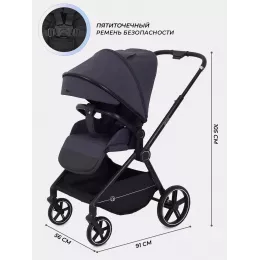 Коляска прогулочная Rant Moss 2025 Graphite