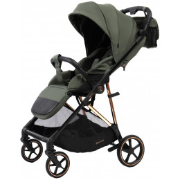 Прогулочная коляска Peppy Amici с автокреслом Verona Black и базой Green рама Gold