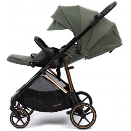 Прогулочная коляска Peppy Amici с автокреслом Verona Black и базой Green рама Gold