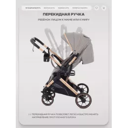 Коляска прогулочная Rant Basic Vortex Beige