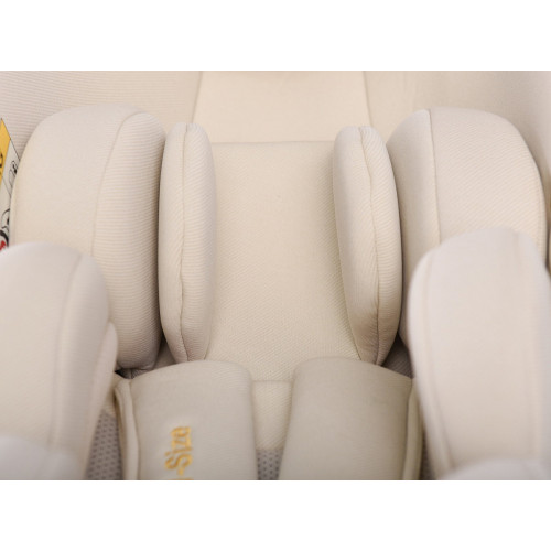 Прогулочная коляска Peppy Vigo с автокреслом Verona Beige Antrazit антрацит