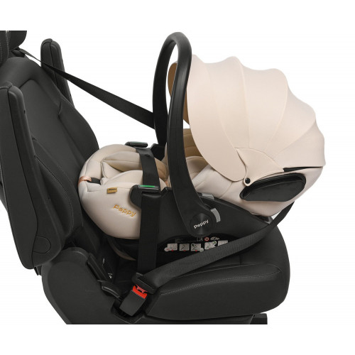 Прогулочная коляска Peppy Vigo с автокреслом Verona Beige Antrazit антрацит