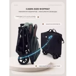 Коляска прогулочная Rant Avion Сarbon Olive