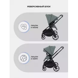 Коляска прогулочная Rant Moss 2025 Olive