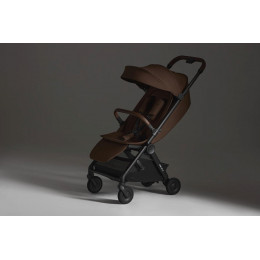 Детская прогулочная коляска Anex Air-Q Doppio