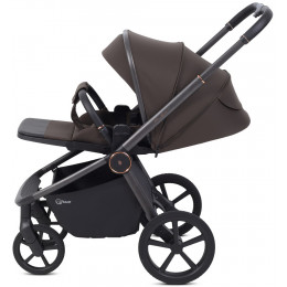 Детская прогулочная коляска Rant Flex Color RA118 Shine Brown