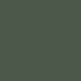 Прогулочная коляска Carrello Evo CRL-5533 Chateau Green