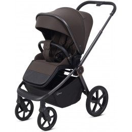 Детская прогулочная коляска Rant Flex Color RA118 Shine Brown