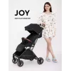 Коляска прогулочная Rant Basic Joy 2025 Black