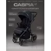 Коляска прогулочная Rant Caspia Soft 2026 Graphite