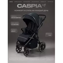 Коляска прогулочная Rant Caspia Soft 2026 Graphite