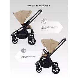 Коляска прогулочная Rant Flex 2025 RA078 Mocca