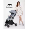 Коляска прогулочная Rant Basic Joy 2025 Grey