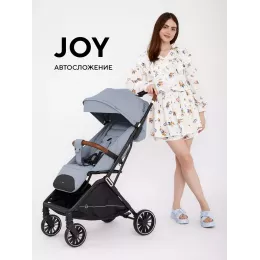 Коляска прогулочная Rant Basic Joy 2025 Grey