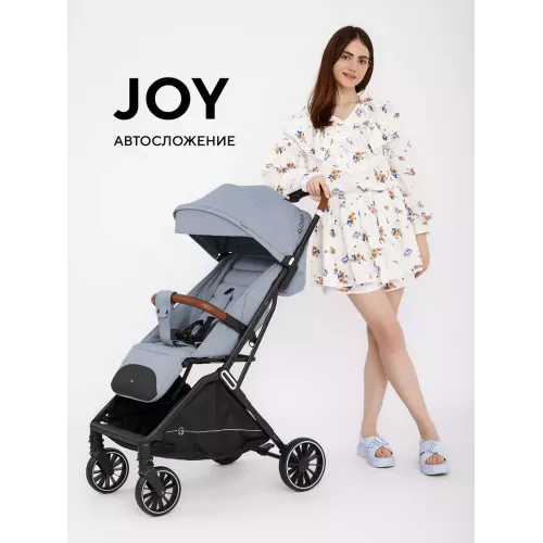 Коляска прогулочная Rant Basic Joy 2025 Grey