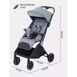 Коляска прогулочная Rant Basic Joy 2025 Grey