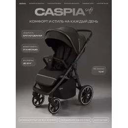 Коляска прогулочная Rant Caspia Soft 2026 Shine brown